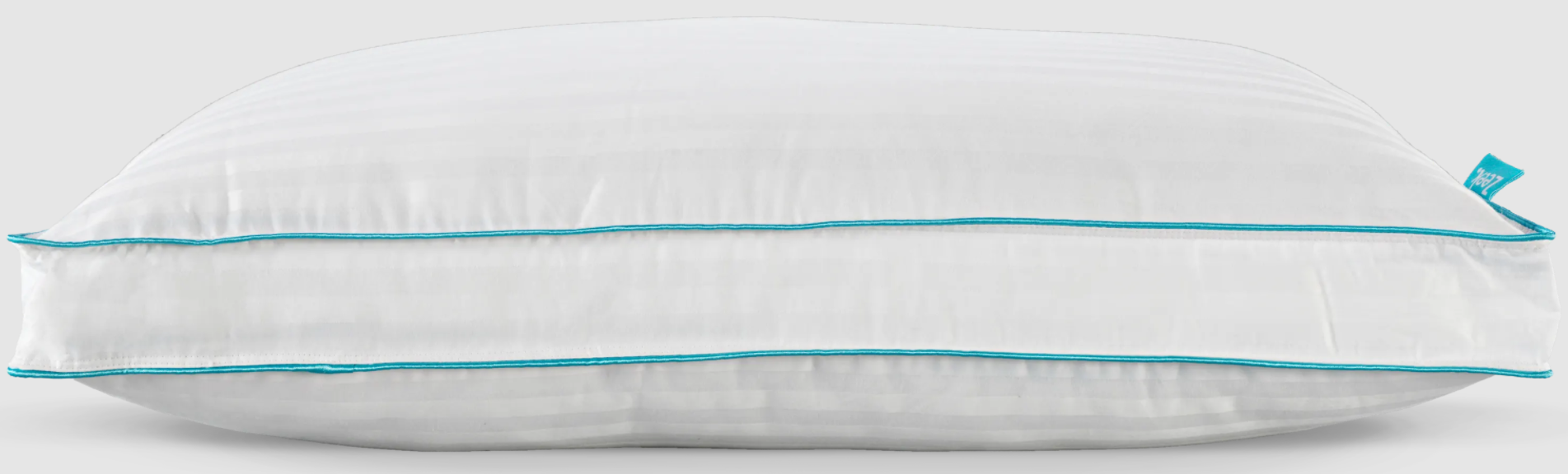 Zeek Cloud Pillow