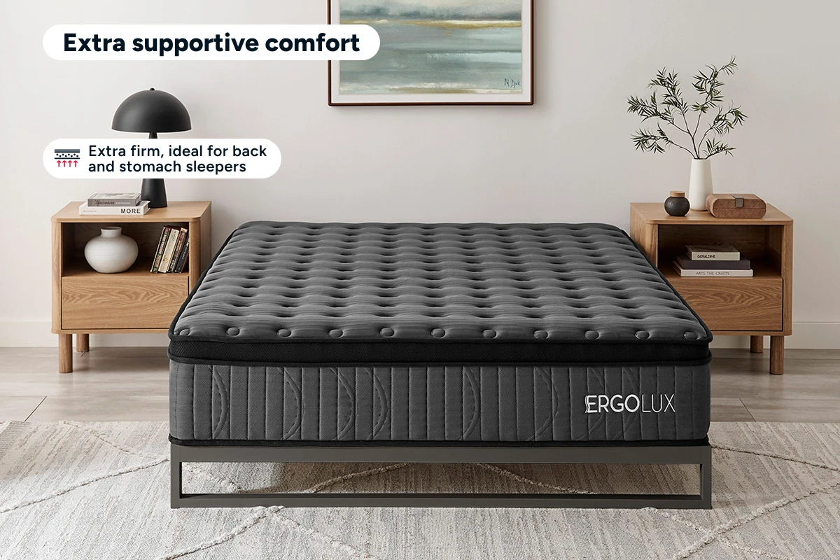 ErgoLux Support Mattress